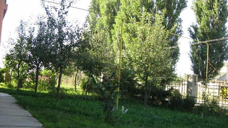 Lary Hostel Suceava Exterior foto