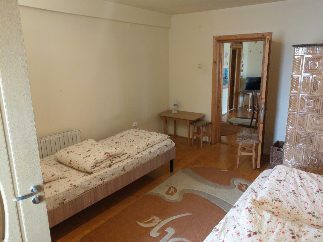 Lary Hostel Suceava Exterior foto